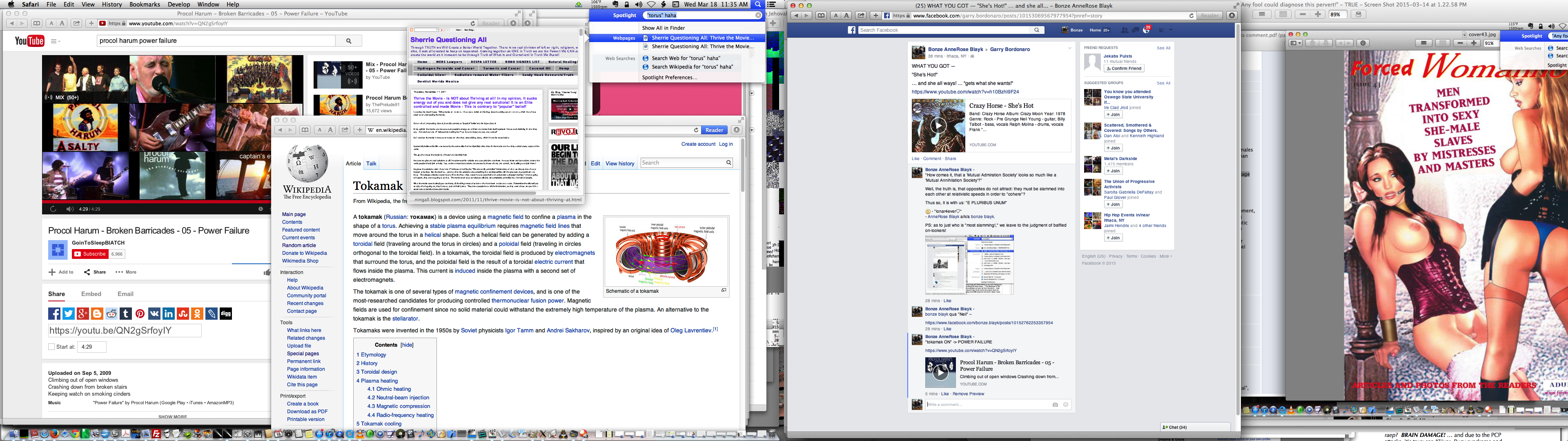 ./ annerose - lonar4ever<3 - SEEKING FUSION - My Primary Reason for Entering into this Agreement is to have a Partner Who Understands ME and MAY Someday BE JOINED WITH ME As Her True Submissive Wife - Screen Shot 2015-03-18 at 11.35.45 AM.png